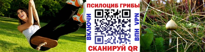 Псилоцибиновые грибы Magic Shrooms Купить где Хвалынск